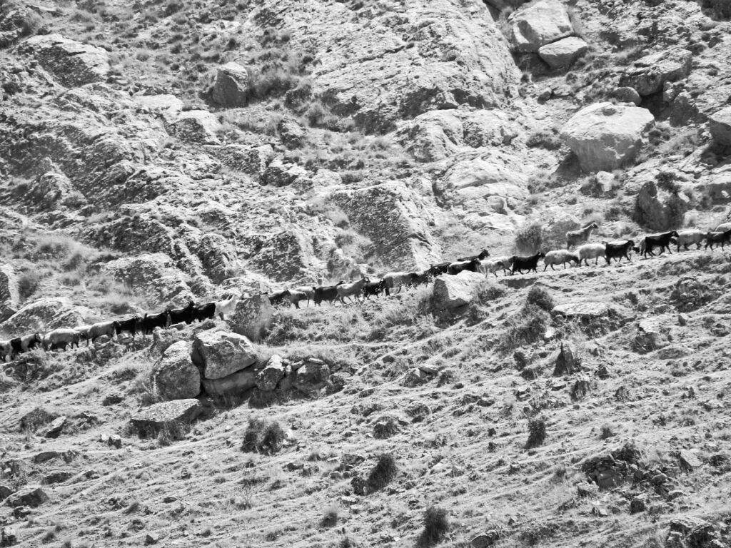 投稿用ページ Yuka Komatsu