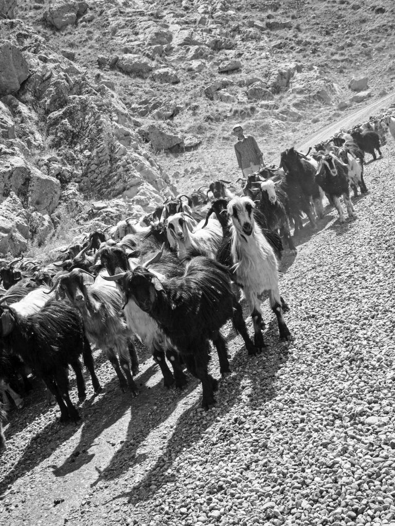 投稿用ページ Yuka Komatsu